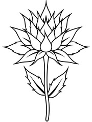 Eryngium flower line art