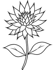 Eryngium flower line art