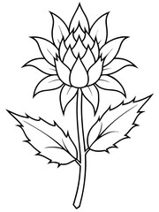 Eryngium flower line art