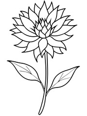 Eryngium flower line art