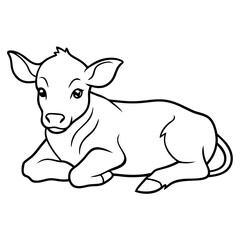 1 month old angus calf line line art vector illustration