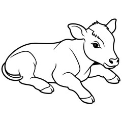 1 month old angus calf line line art vector illustration
