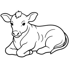1 month old angus calf line line art vector illustration