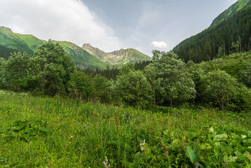 View from Liptovsky kosiar in Ticha dolina valley in Tatra mountains in Slovakia © honza28683