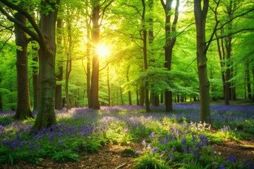 Obraz premium A peaceful forest glade is filled with a vibrant carpet of bluebells, illuminated by warm dappled sunlight filtering through the lush green tree canopy above.