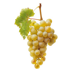 Riesling Grape Cluster With Leaf on Transparent Background