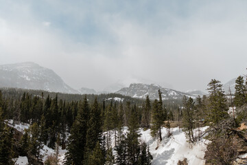 Rocky Mountain Landscape with Evergreens