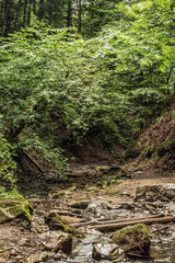 Cascada Bursuc - Europe, Romania - 201 Holovni Street, Putna
