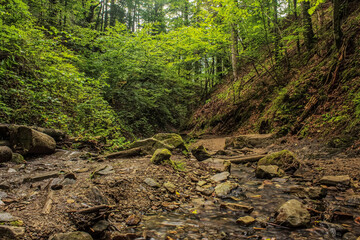 Cascada Bursuc - Europe, Romania - 201 Holovni Street, Putna