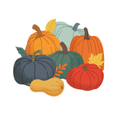 Pile of autumn pumpkins on white background. Autumn vector illustration with texture