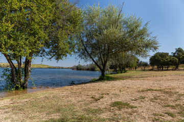 Landscape with trees and Olleros Beach, Our Lady of Agavanzal Reservoir, Zamora, Castile and Leon, Spain.