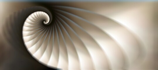 the Fibonacci spiral, the divine proportion,