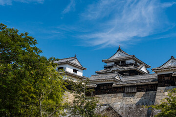 松山城_現存12天守の一つを持つ城、城山公園全体が国の史跡になっているほか、21棟が重要文化財である