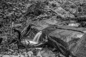 Cascada Bursuc - Europe, Romania - 201 Holovni Street, Putna