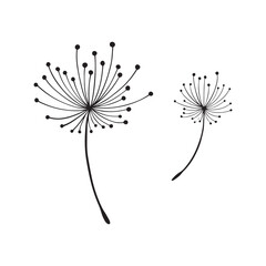 Dandelion flower design silhouette