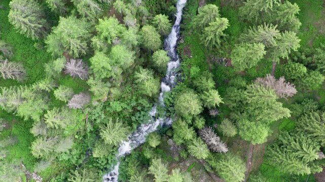 Cascate del rutor waterfall flowing through lush green forest, aerial view