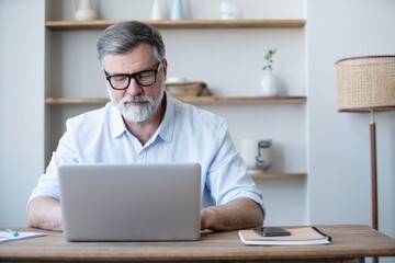 Mature businessman working from home using laptop