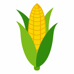 Corn art vector illustration