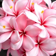 Obraz premium Vibrant Pink Plumeria Blooms in Close-Up Ai generated 