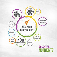 Essential Nutrients and What Your Body Needs Info Vector Layered Template. Wellness, Medical, Health Concept
