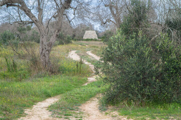 Una strada di campagna conduce a una pajara, tipica costruzione rurale del Salento, ungo il Cammino del Salento che da Lecce porta a Santa Maria di Leuca
