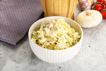 Dietary tasty Cole slaw salad