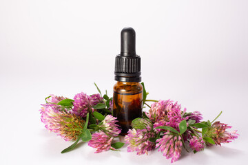 Clover flowers and essential oil on white background. Hair treatment concept. Close up. Copy space