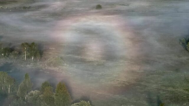 Aerial close up view of rarely seen weather phenomenon ringed glory on a thin layer of fog. Estonia.