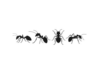 Ant silhouette
