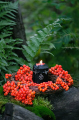 magic black candle with pentacle amulet, rowan tree berries in forest. Magic, Witchcraft,...