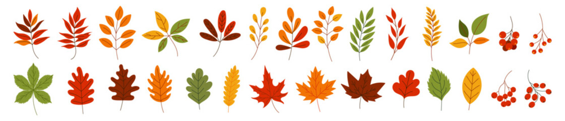 A row of autumn leaves with some green leaves in the middle. The leaves are of different sizes and colours