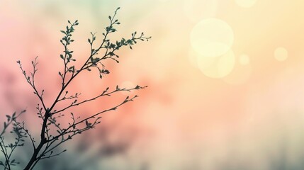 A tree branch is shown in a blurry background with a bright pink and purple sky