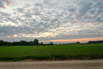 Niebo całe w małych chmurach kłębiasto warstwowych stratocumulus 