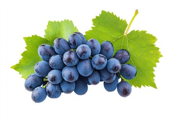 Fototapeta premium Grapes with leaves on white