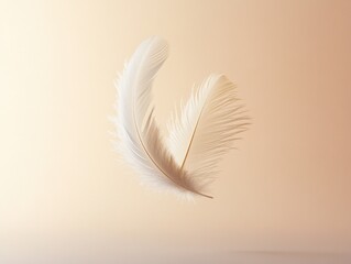 Obraz premium White feather in flight