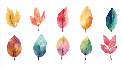 Obraz premium Leaf watercolor, set of leaf watercolor