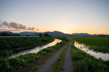 夕暮れ時の田んぼ風景