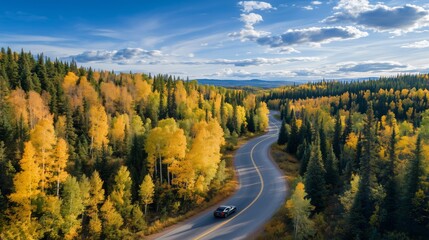 Obraz premium Aerial Autumn Landscape with Roadway Emphasizing Nature Travel Freedom and Seasonal Transformation