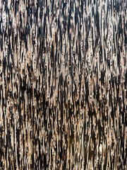 wood texture