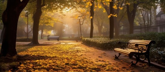 Tranquil Autumn Morning in a Park