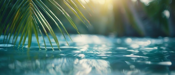 A palmstree sways in the middle of a tranquil body of water, sun's rays filtering through its fronded canopy