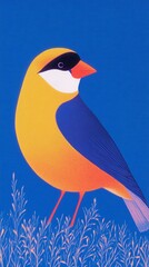 Fototapeta premium A striking goldfinch stands elegantly against a vivid blue background