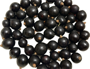 black currant on white background, isolated, organic, eco, vegan food