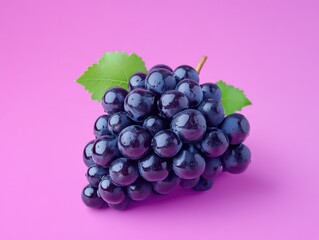 Fototapeta premium Black Grapes Pink Background
