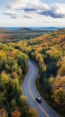 Fototapeta premium Curved road vertical aerial view fall forest tranquility outdoor adventure winding autumn colors drive woodland woods exploration nature