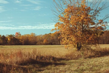 Fototapeta premium Vibrant autumn landscape with colorful trees, golden leaves, and serene nature scenery.