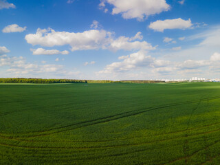 Drone view of the forest and fields, top view and blue sky on a sunny summer day