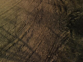 Drone view of the forest and fields, top view and blue sky on a sunny summer day