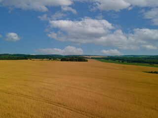 Drone view of the forest and fields, top view and blue sky on a sunny summer day