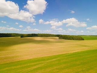 Drone view of the forest and fields, top view and blue sky on a sunny summer day